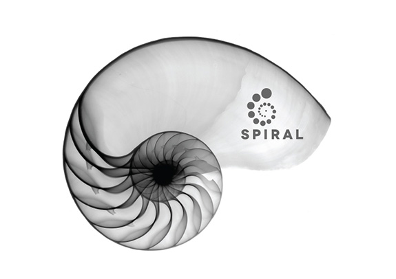 spiral-logo-design-nautilus01